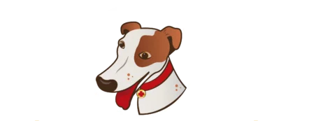 Logo - Clínica Veterinária Bolt