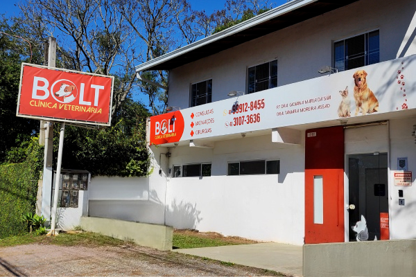 Banner Quem Somos - Clínica Veterinária Bolt