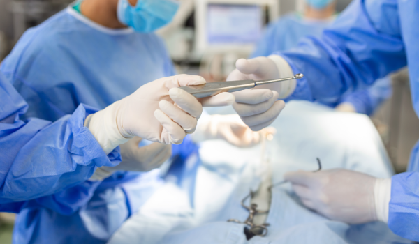 Serviço Cirurgia - Clínica Veterinária Bolt